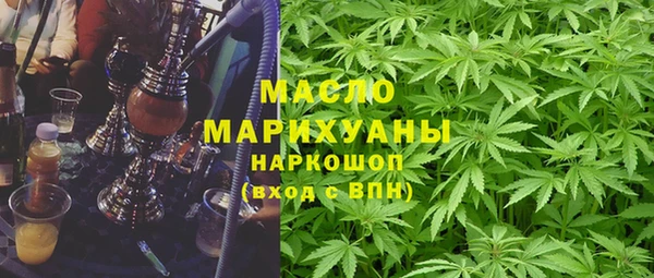 прущий лед Алзамай