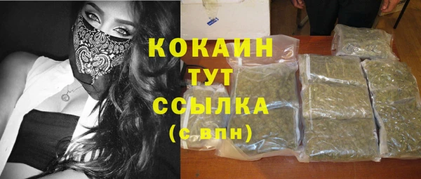 прущий лед Алзамай