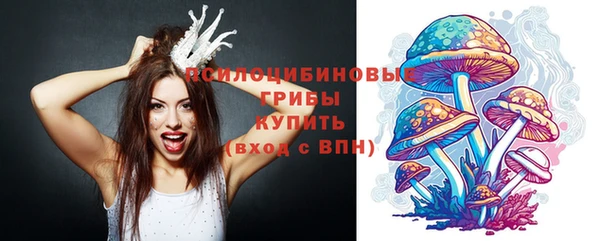 прущий лед Алзамай