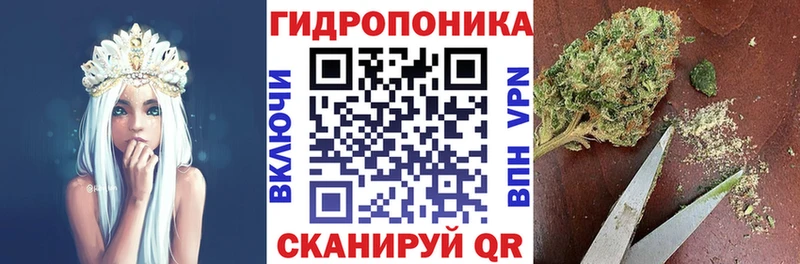 omg ТОР  Кореновск  Бошки Шишки марихуана 